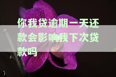 你我贷逾期一天还款会影响我下次贷款吗