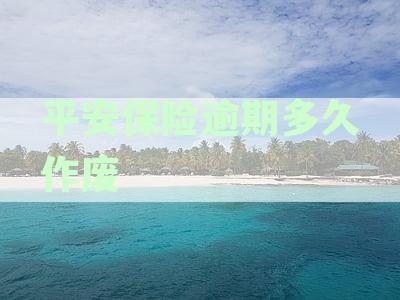 平安保险逾期还款对征信影响的时间线及解决方案详解