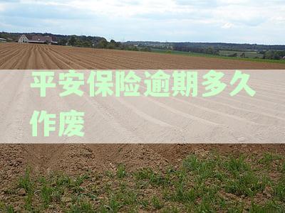 平安保险缴费逾期处理流程及自动退保可能性详解