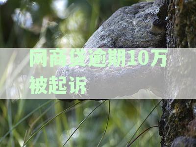 网商贷逾期六万多起诉全解析：法律后果、应对策略及后续影响