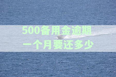 500备用金逾期一个月要还多少利息及逾期一天利息计算与后果分析