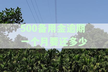 500备用金逾期一天多少钱利息及影响，逾期2天罚金、恢复时间与征信记录情况