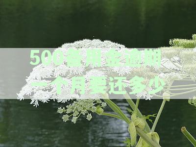 500备用金逾期一个月要还多少