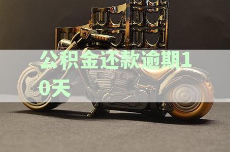 公积金贷款逾期还款10天：后果、影响及解决方案解析