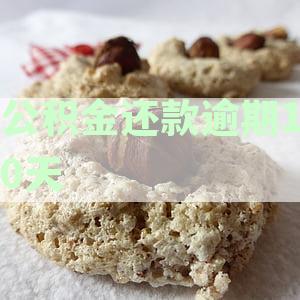 公积金还款逾期10天有影响吗及逾期几天处理方法