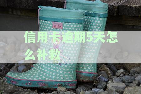 信用卡逾期怎么处理？掌握正确方法，一键解决逾期难题