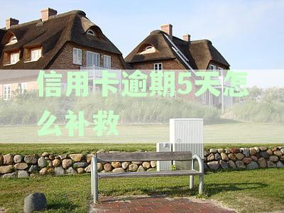 信用卡逾期5天怎么补救