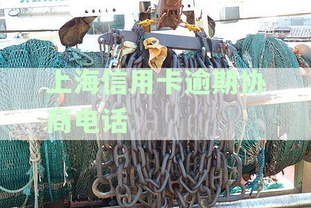 上海逾期中心：贷款逾期申报与金融官网指南