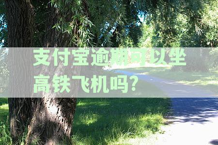 支付宝逾期影响出行吗？详解逾期还款对乘坐飞机、高铁等交通方式的实际影响