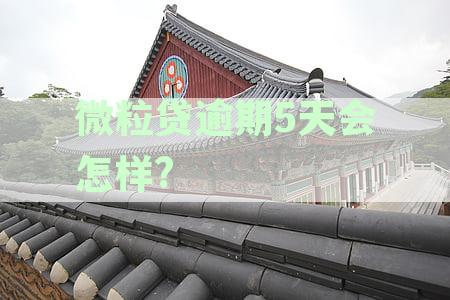 微粒贷逾期第五天：了解逾期后果与应对策略，避免信用受损