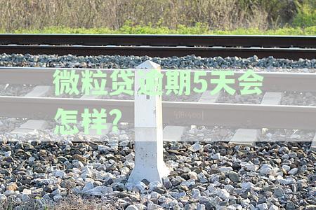 微粒贷逾期五天还清后还能不能借出来，及逾期后果与被要求全款还款的含义