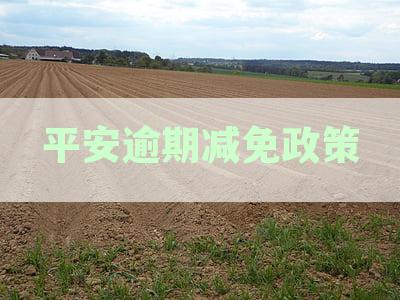 平安逾期利息可以减免不：平安贷款逾期利息及减免政策详解