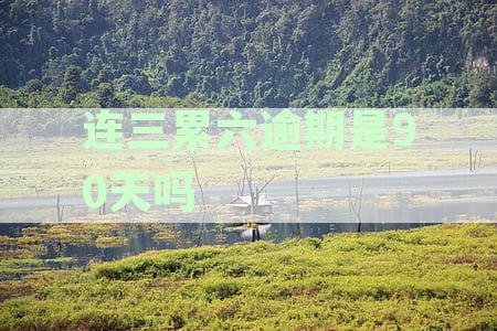 连三累六逾期是90天吗