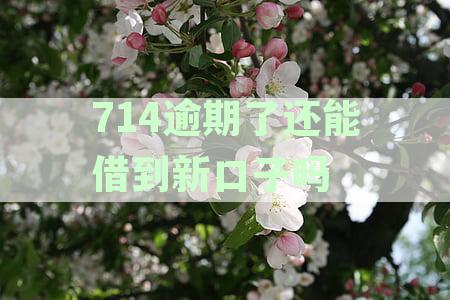 逾期714网贷后，还有其他口子能放款贷款吗？