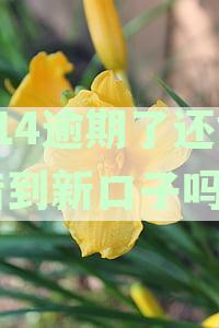 714没还还能再借吗：不还714还能借出哪些网贷？