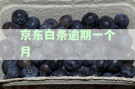 逾期一个月真的会被法律起诉吗？连续逾期一个月的情况分析