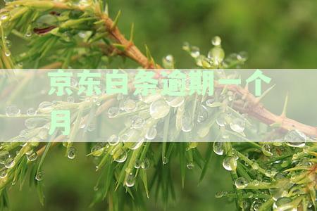 逾期一个月了说要上门是真的假的-逾期一个月了说要上门是真的假的怎么办