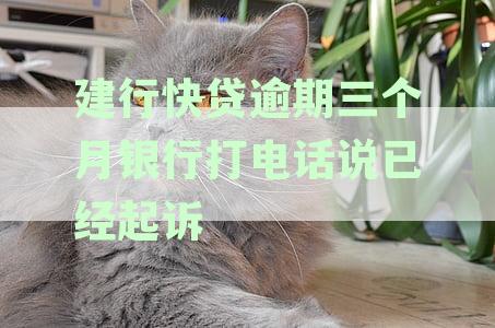 建设银行快贷逾期2个月将被起诉：应对策略与法律咨询指南