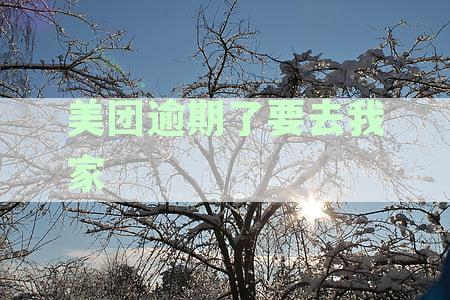 美团逾期催收上门，我家该如何应对怎么办？