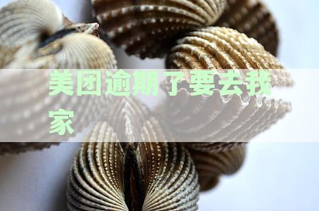 美团逾期了要去我家