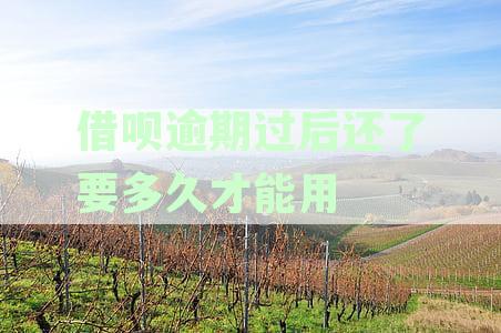 借呗逾期还了之后多久能用：恢复使用及额度恢复时间，逾期记录消除时长解析