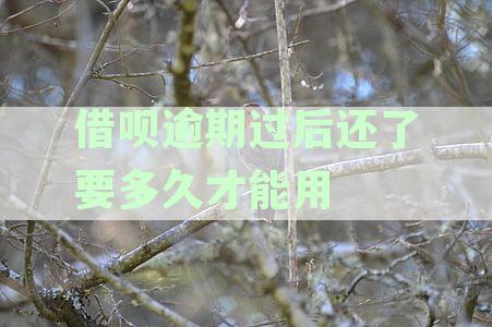 借呗逾期还款后不良征信记录消除全解析：时间线、影响与应对策略