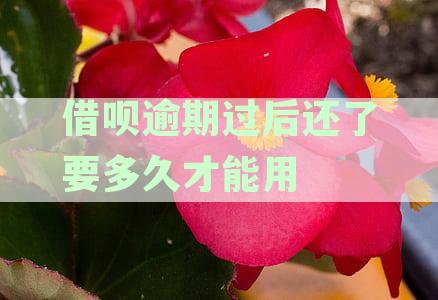 借呗逾期还款后多久恢复借呗额度及正常使用功能详解