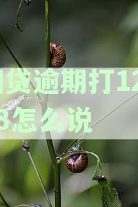 银监局12378全面介入网贷平台协商还款问题，助力借款人解决债务困境