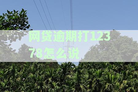 12378能协商网贷吗-协商成功再收费的法务