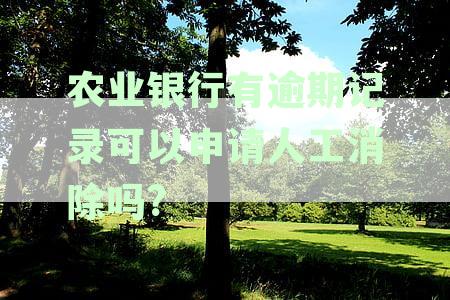 农业银行信用卡逾期记录消除全攻略：涵各类逾期情况的处理方法与技巧