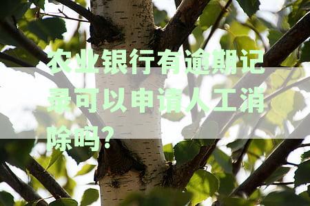 农业银行有逾期记录可以申请人工消除吗?