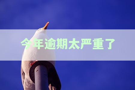 2021年信用卡逾期还款的严重后果及其对个人用卡影响解析