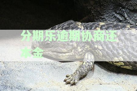 分期乐逾期协商还本金
