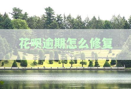 芝麻逾期一次性修复：真的假的，教程漏洞，免费指南及所需芝麻粒数解析