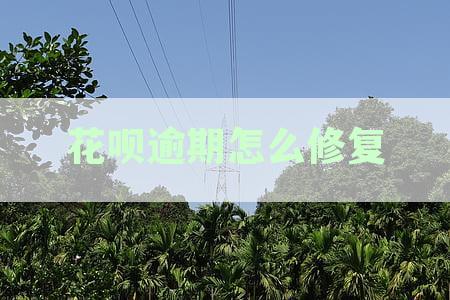 无需芝麻信用，支付宝一次都不用，怎么修复逾期还款记录