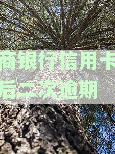 招商银行信用卡协商后二次逾期多久会取消合同及逾期还款的后果与处理方法