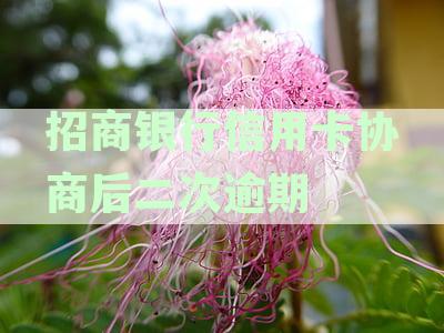 招商银行信用卡二次逾期协商后还款怎么办？详解后果及解决策略