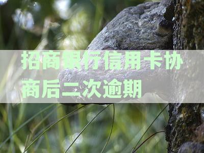招商银行信用卡协商后二次逾期对信用记录及贷款影响解析