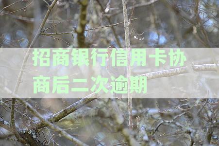 招商银行信用卡协商后二次逾期