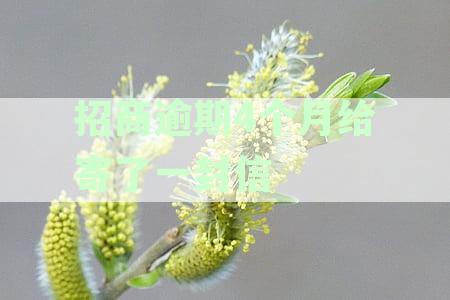 招商银行信用卡逾期4个月收到一封信件，面临起诉风险怎么办？