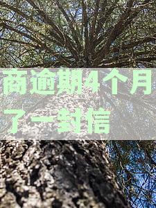 招商信用逾期4个月欠款4000元遭起诉威胁：应对策略与法律维权指南