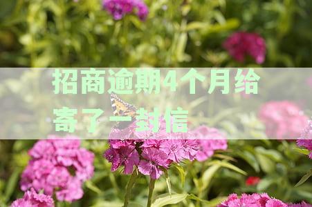 招商逾期4个月给寄了一封信
