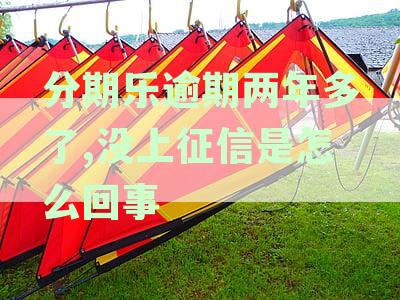 分期乐逾期两年多了,没上征信是怎么回事