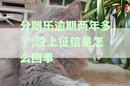 分期乐逾期两年多了,没上征信是怎么回事