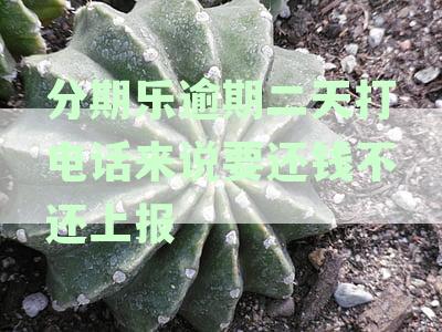 分期乐逾期还款攻略：两天未还即影响征信，如何及时止损？