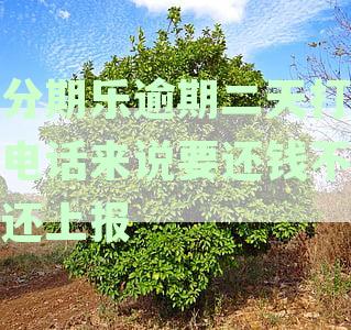 分期乐逾期两天就发短信让还款,会给联系人打电话吗-分期乐逾期两天就打电话我说,今天不还就上征信
