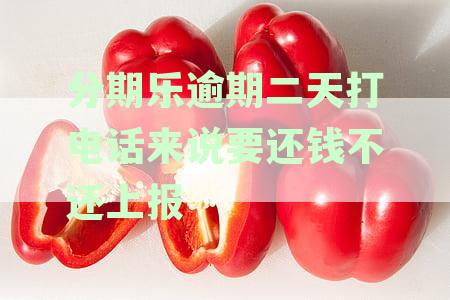 分期乐逾期未接电话：处理逾期催收的正确方法与可能后果解析