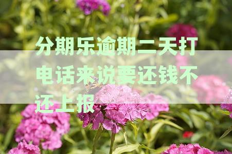 分期乐逾期天天打电话,这几天怎么不打了-分期乐逾期打电话给我没接有没有事