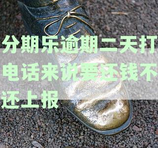 分期平台逾期两天，紧急联系人几天内会接到催款电话吗？
