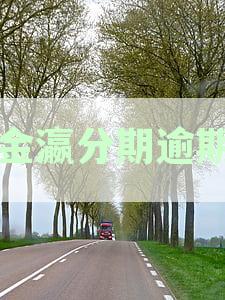 金瀛分期还款新规：逾期一天须全额偿还，逾期还款影响与应对措解析